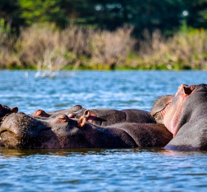 Lake Baringo Safari