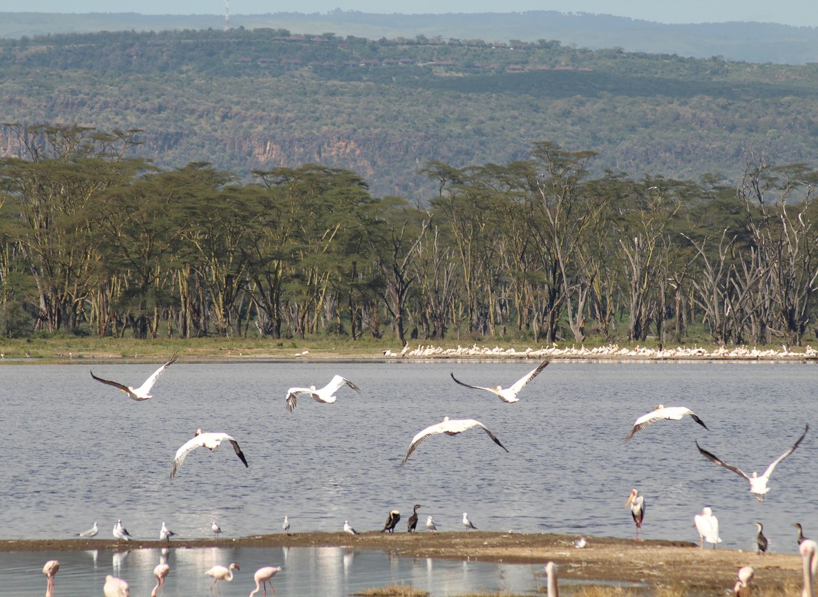 Lake Baringo Safari