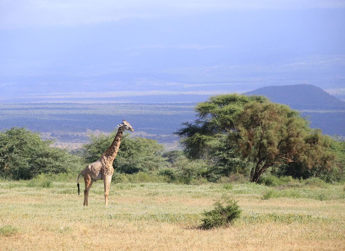 Kenya