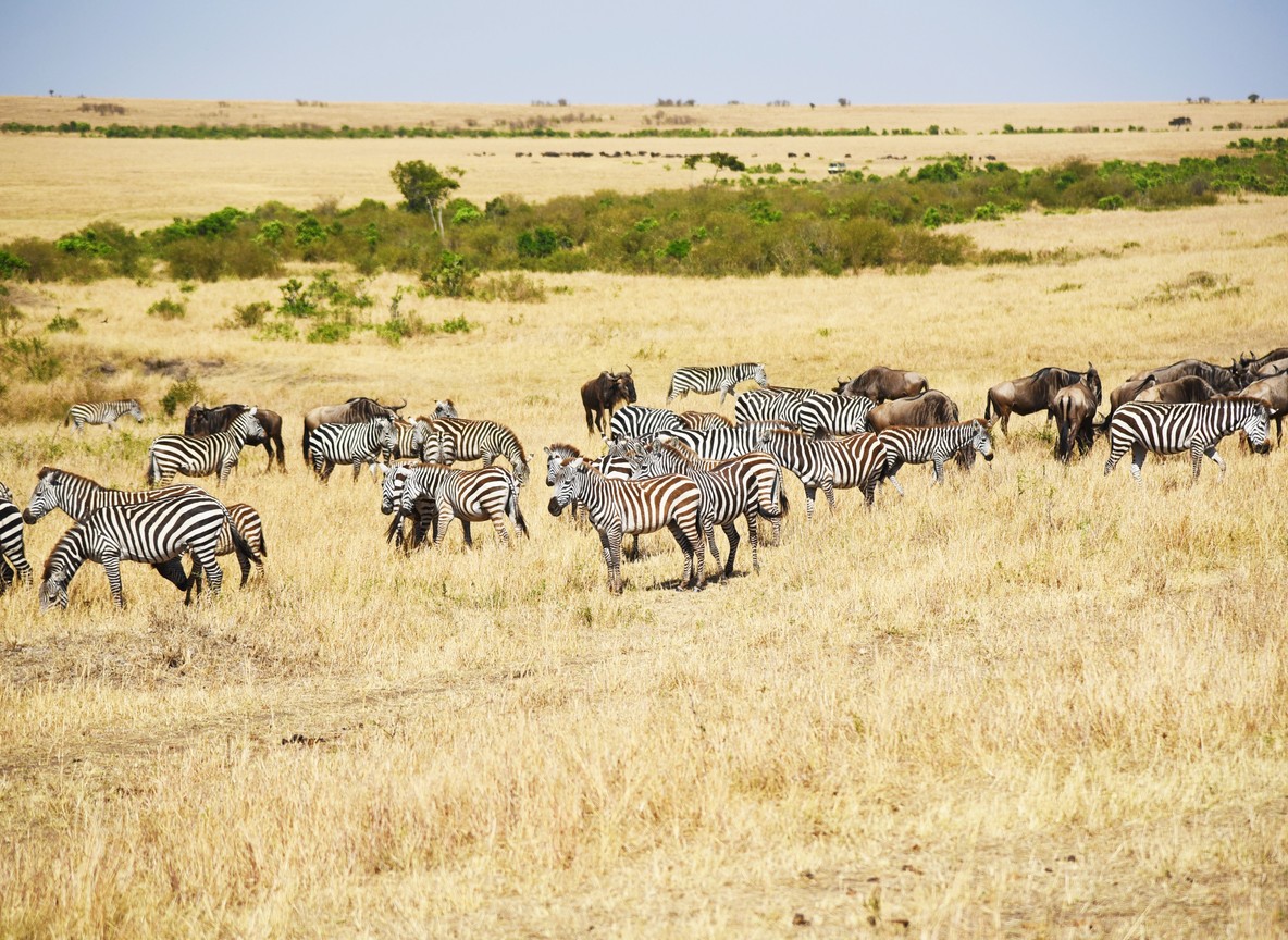 necklaces, and traditional jewelry at a conservancy lodge gift shop in Laikipia, Kenya