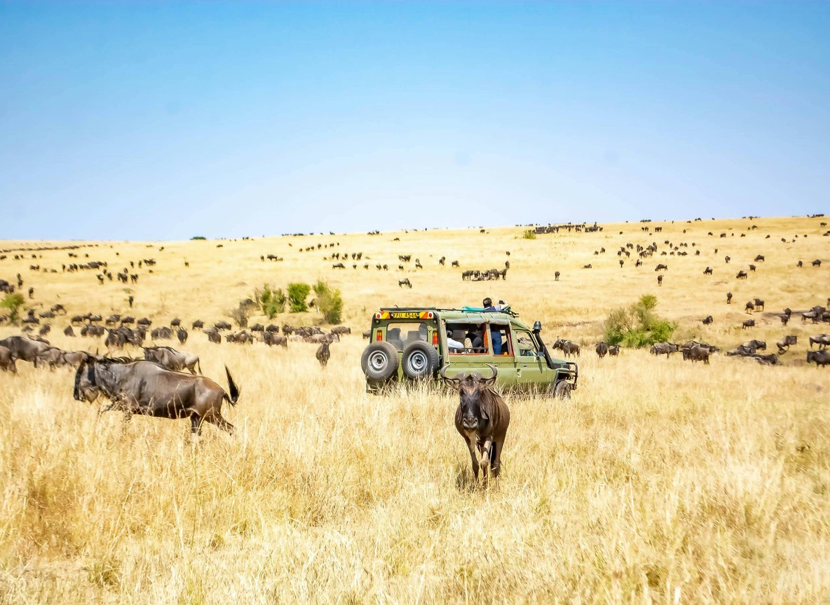 Masai Mara Hot Air Balloon Safari