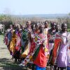 Masai Mara Migration Arrival 2026