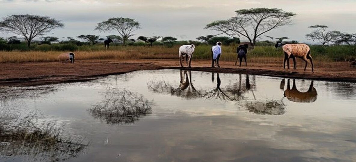 Nairobi Safari Day Trips