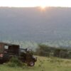 Night Game Drives Kenya