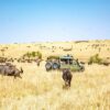 Olare Motorogi Conservancy