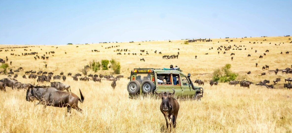 Olare Motorogi Conservancy