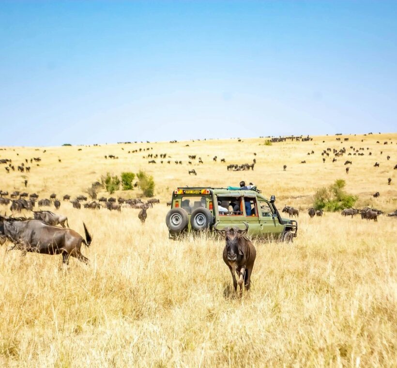 Olare Motorogi Conservancy