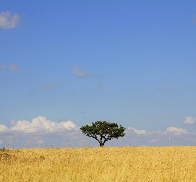 Porini Camps Masai Mara