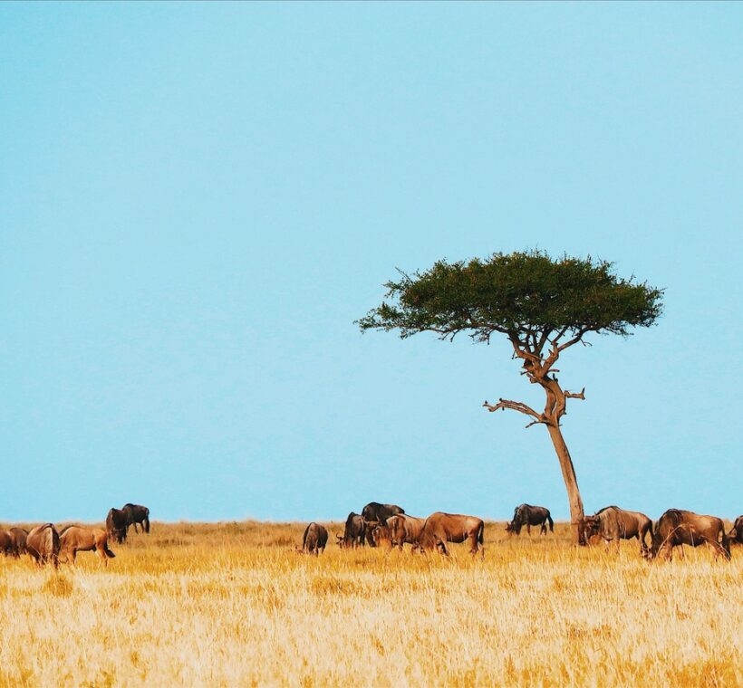 Samburu Game Reserve