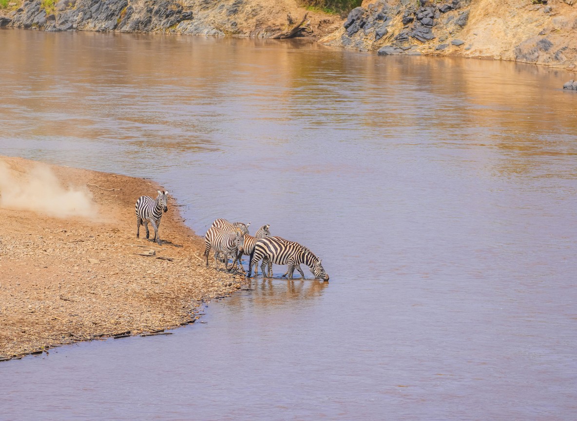 Sand River Masai Mara