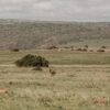 Shimba Hills National Reserve