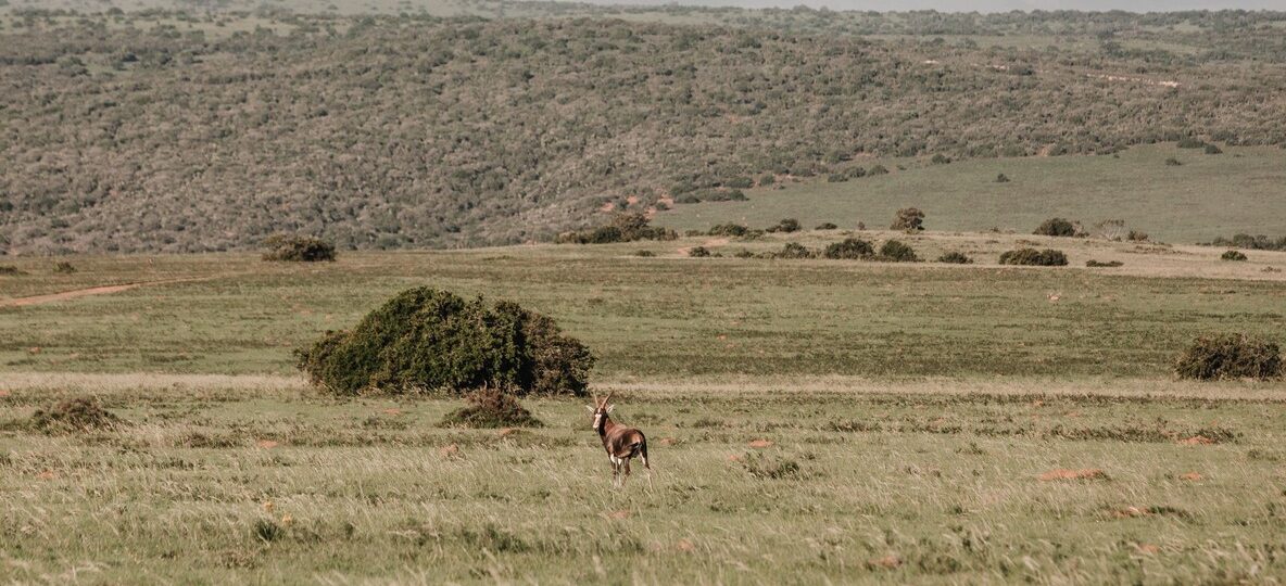 Shimba Hills National Reserve