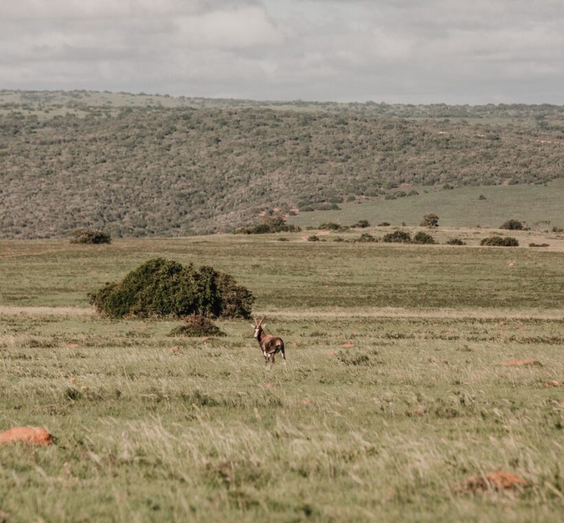 Shimba Hills National Reserve