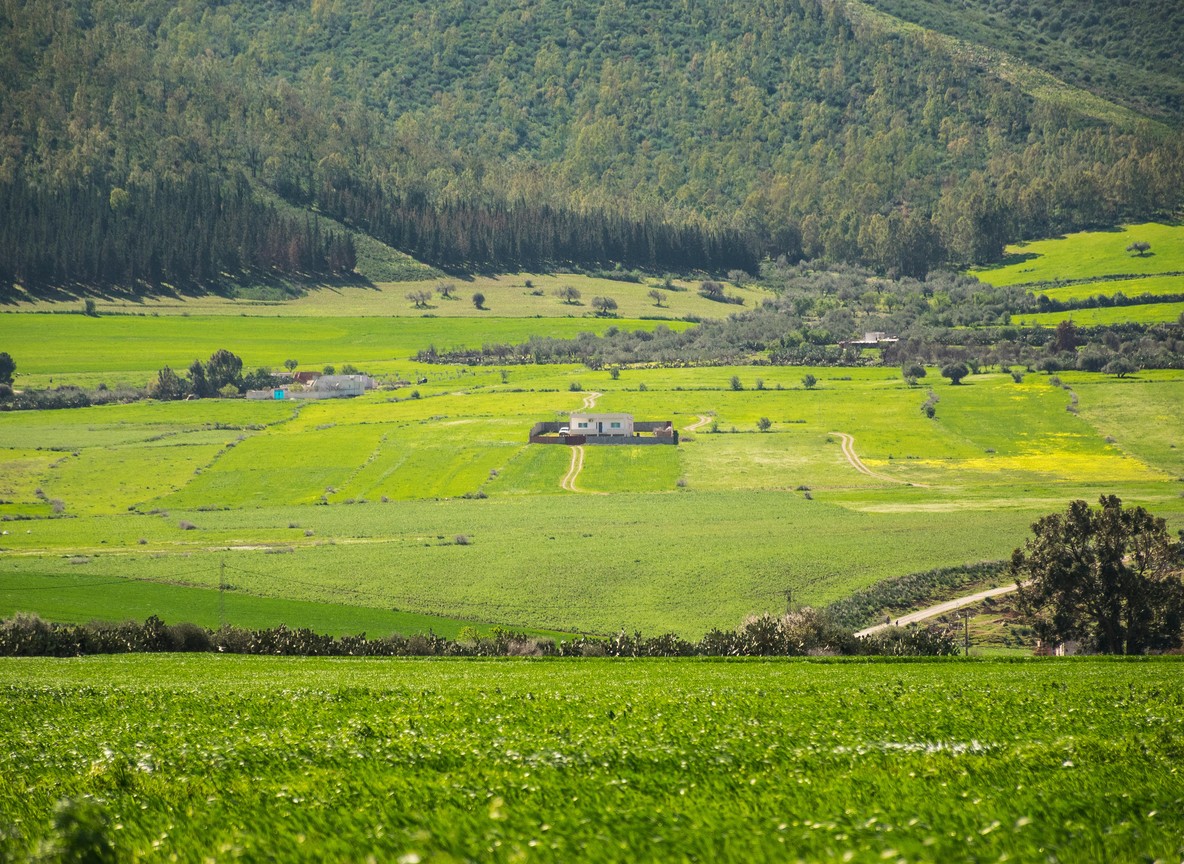 Shimba Hills National Reserve