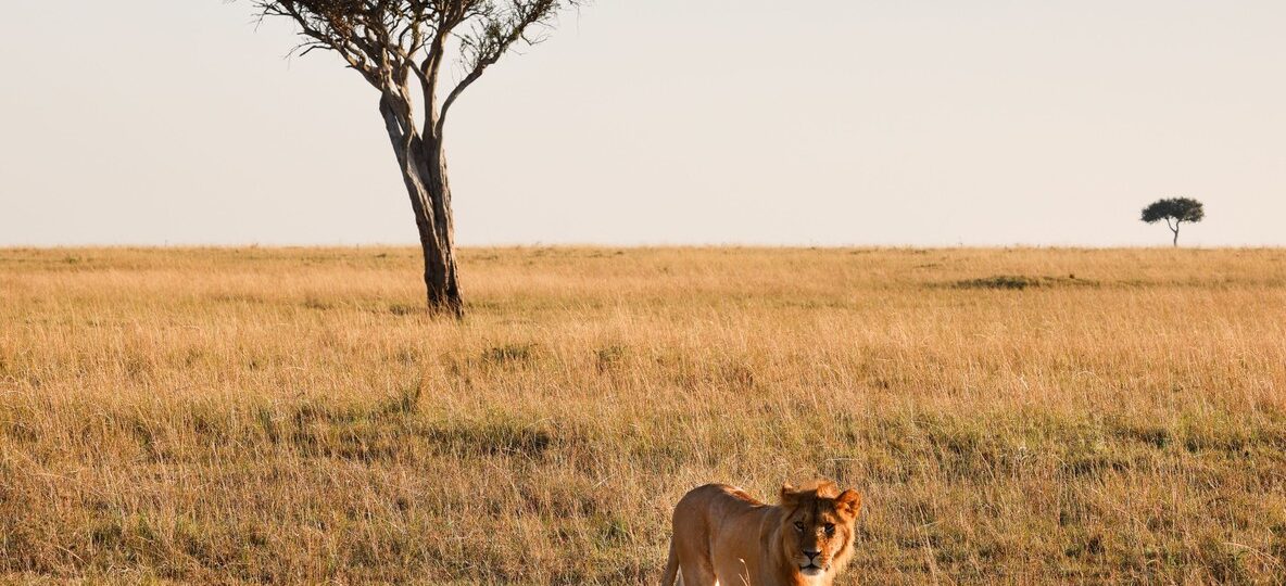 Tsavo East National Park