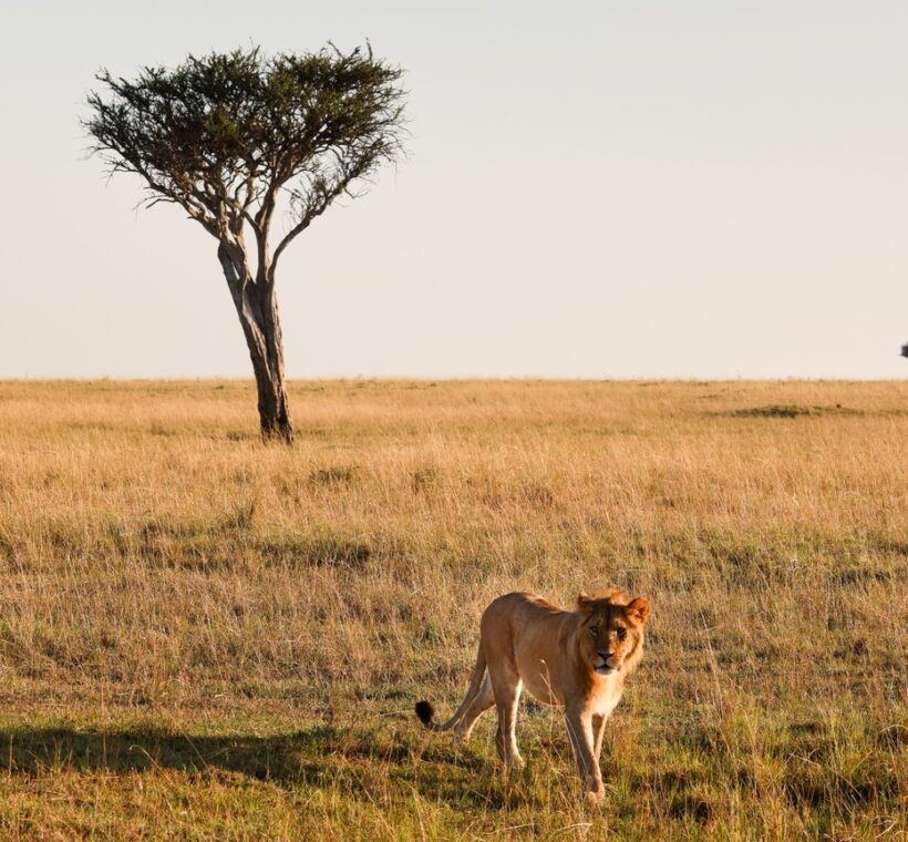Tsavo East National Park