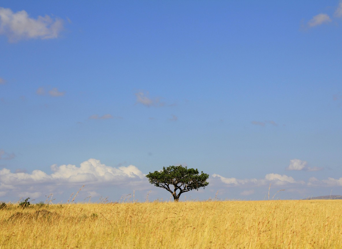 Tsavo East National Park