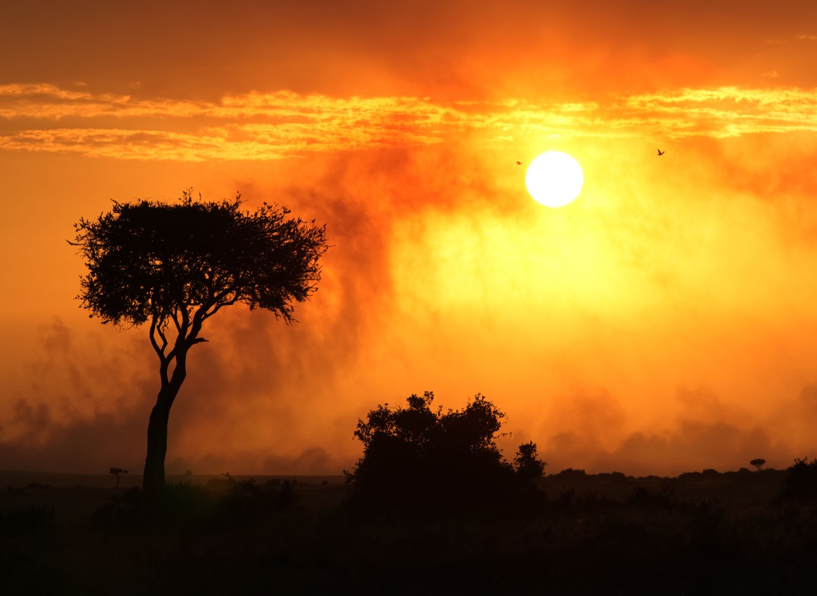 Tsavo East National Park
