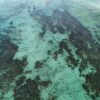 Watamu Snorkeling