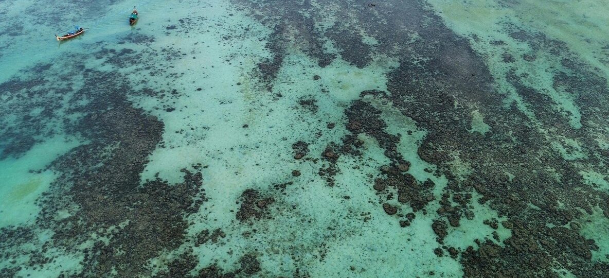Watamu Snorkeling