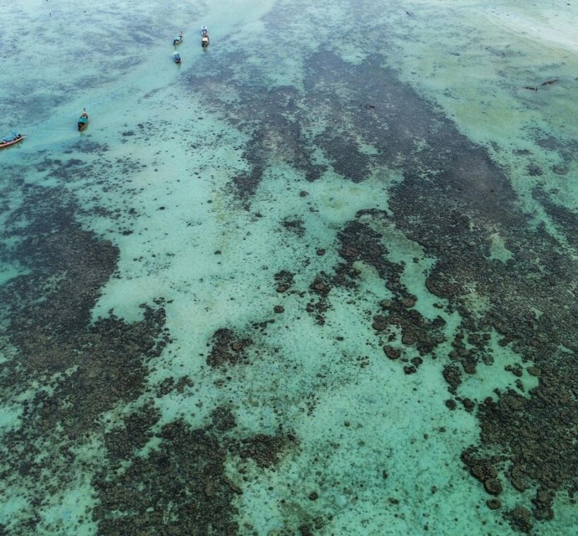 Watamu Snorkeling