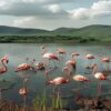 What To Wear In Lake Nakuru