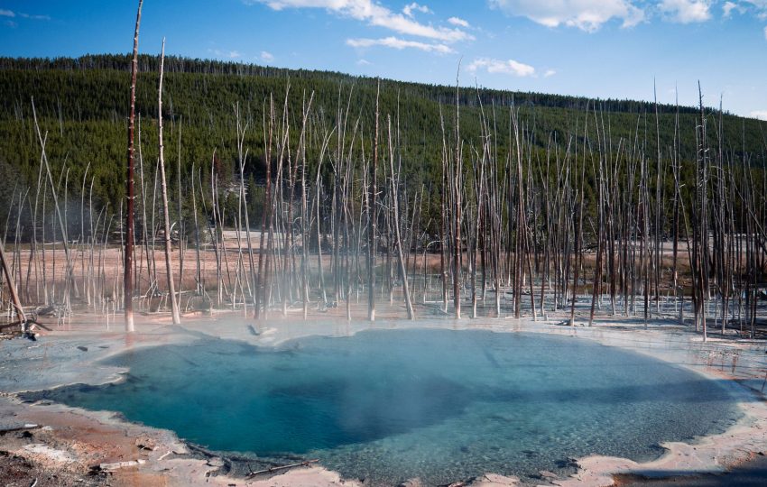 Geyser hot springs lake bogoria - 2-Day Lake Nakuru & Lake Bogoria Weekend: Flamingoes, Geysers & Rhino