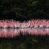 A family safari vehicle stopped at a viewpoint over Lake Nakuru with flamingos visible on the shore below