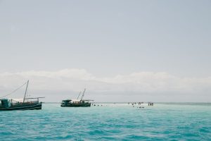 Gallery Thumbnail 3