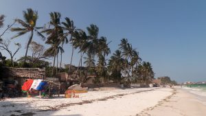 Gallery Thumbnail 2