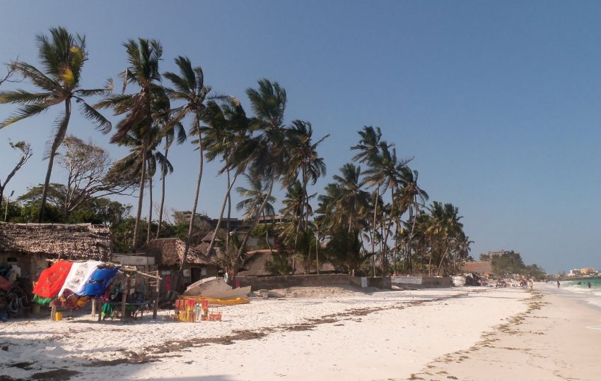 Diani beach palm indian ocean - 6-Day Amboseli, Tsavo & Diani Beach: Safari to the Sea