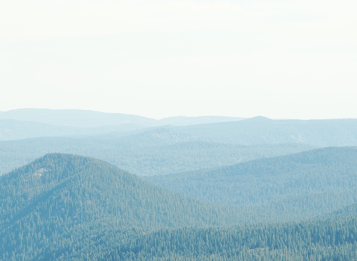 Forested slopes of the Mathews Range rising above the savanna in northern Kenya