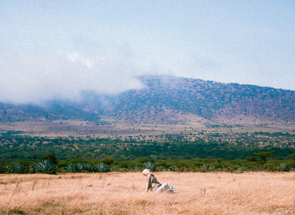 Wide game-drive scene with plentiful wildlife near Amboseli National Park