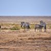 Amboseli National Park, Kenya