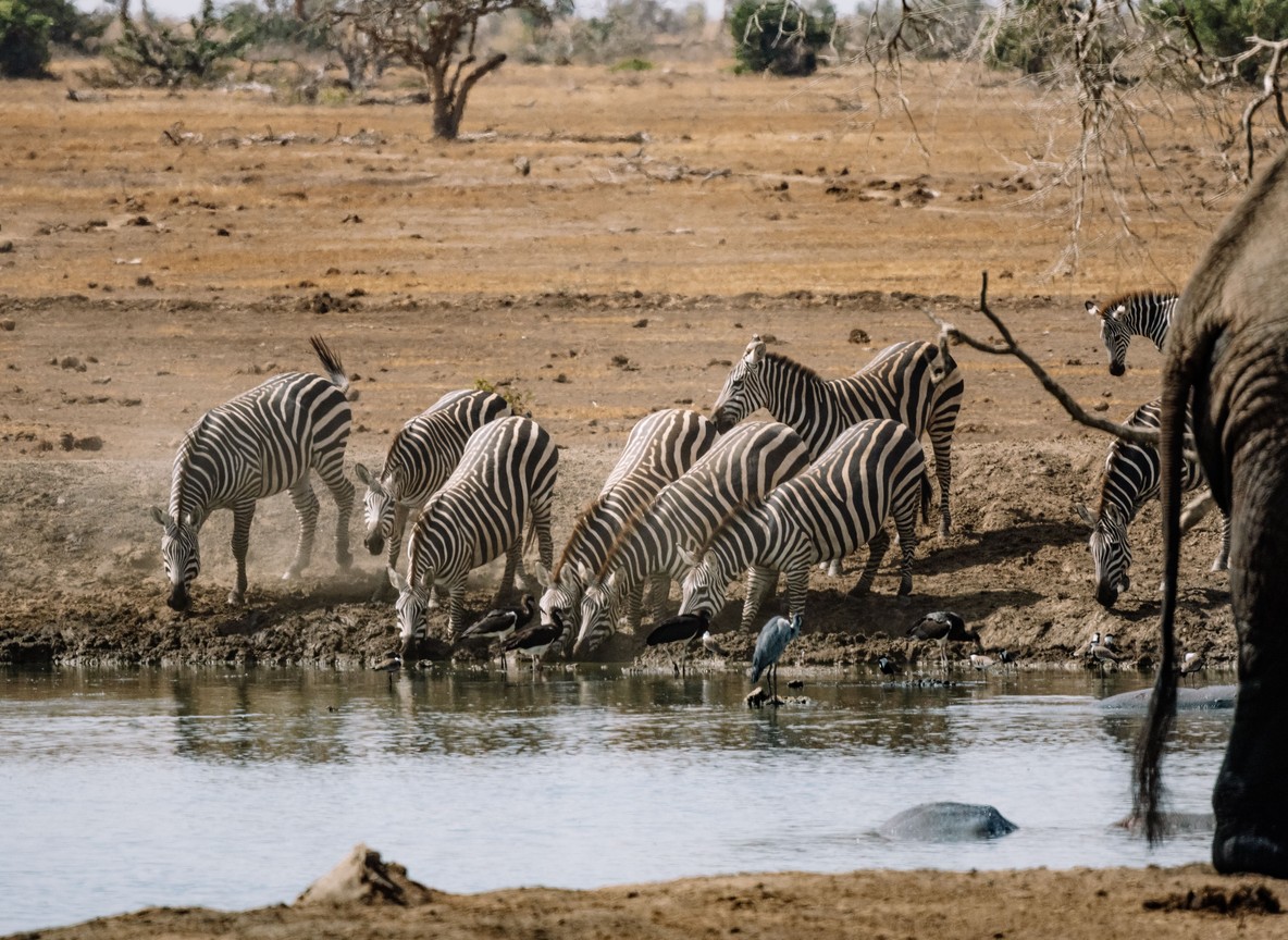 Kenya