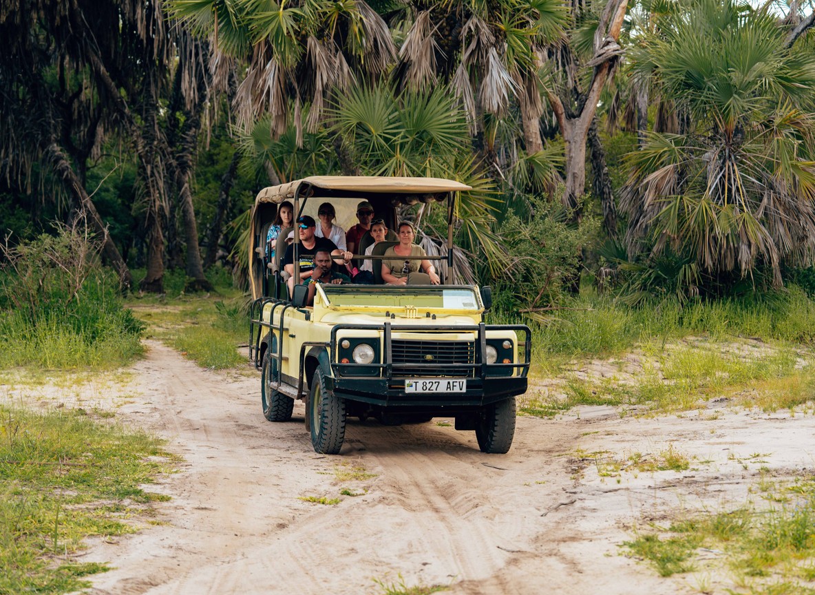 Birders scanning an Amboseli swamp from a safari vehicle at dawn