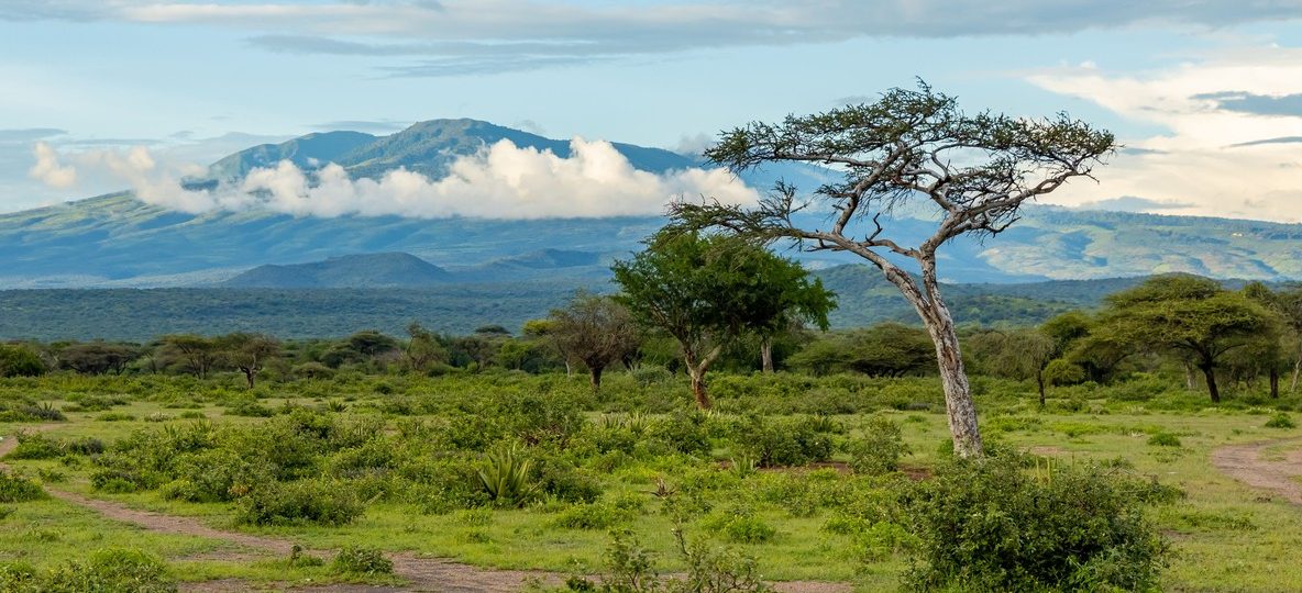 A safari vehicle on the plains of Amboseli National Park with elephants nearby and Mount Kilimanjaro visible in the background