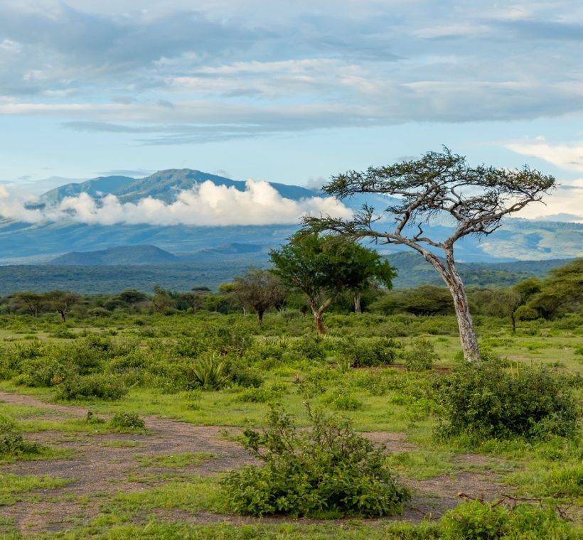 A safari vehicle on the plains of Amboseli National Park with elephants nearby and Mount Kilimanjaro visible in the background