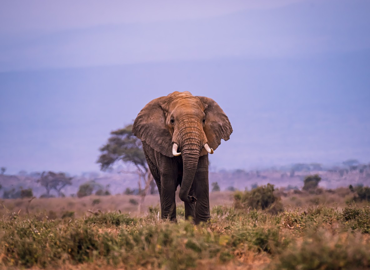 A tour vehicle driving on a dusty road toward Amboseli National Park with Mount Kilimanjaro faintly visible on the horizon