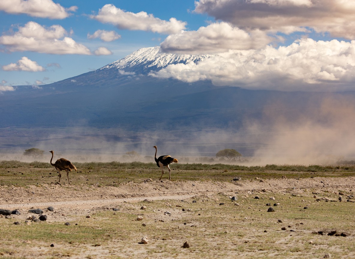 A safari vehicle driving along a green plain road in Amboseli National Park with dark clouds clearing near Mount Kilimanjaro