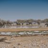 Domed Maasai-inspired guest rooms at Amboseli Serena Safari Lodge with Mount Kilimanjaro rising behind the swamp at sunrise