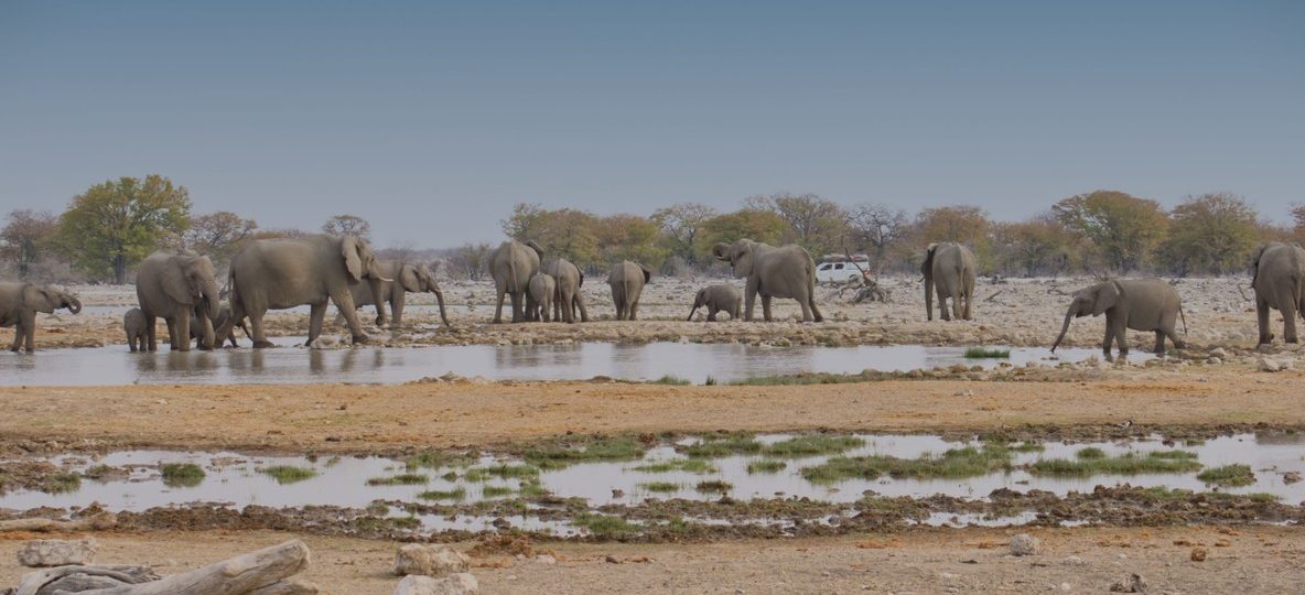 Domed Maasai-inspired guest rooms at Amboseli Serena Safari Lodge with Mount Kilimanjaro rising behind the swamp at sunrise