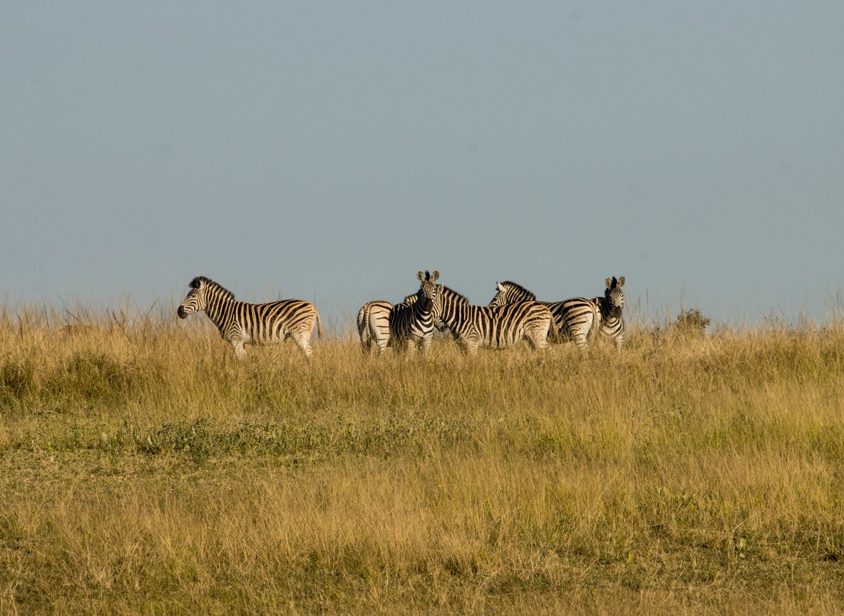 Samburu National Reserve
