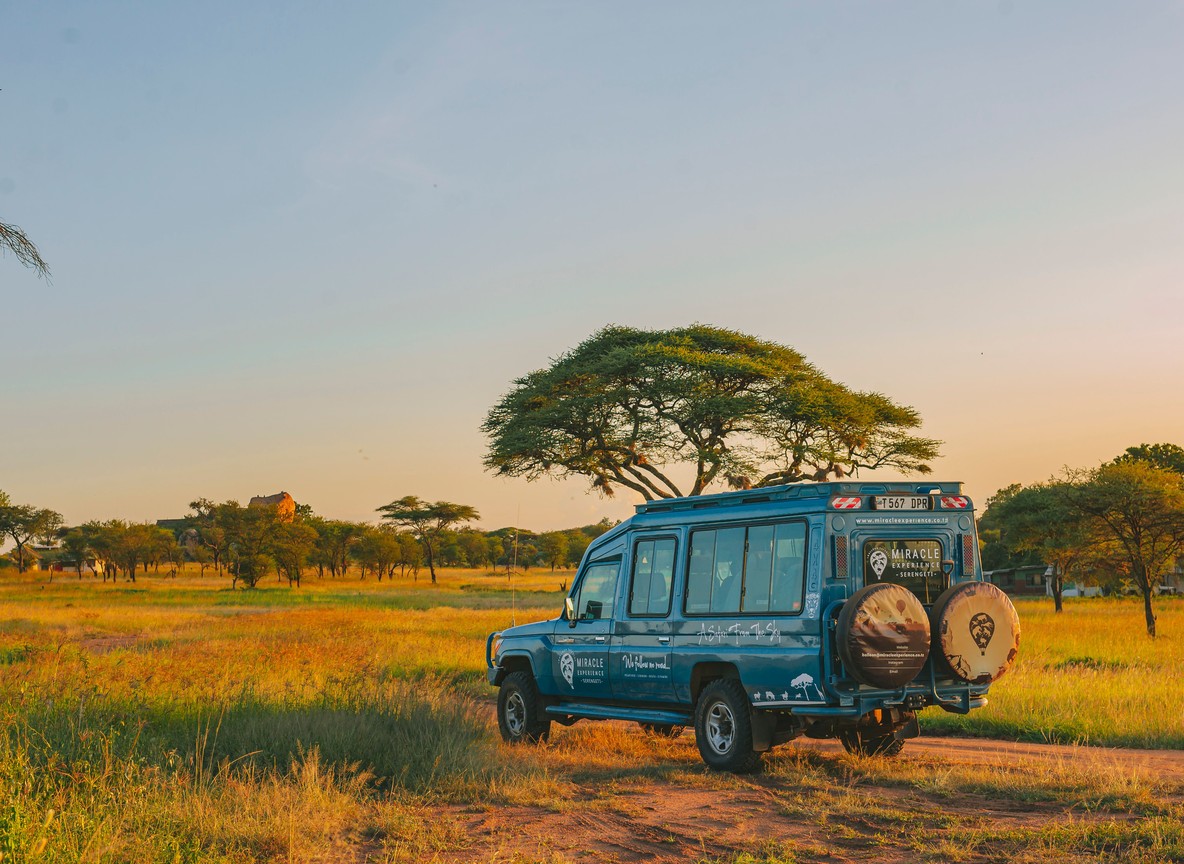 Safari vehicle positioned close to a Mara River crossing point with a wildebeest herd