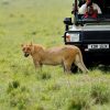 A comfortable mid-range safari tent with a private veranda overlooking the Maasai Mara plains