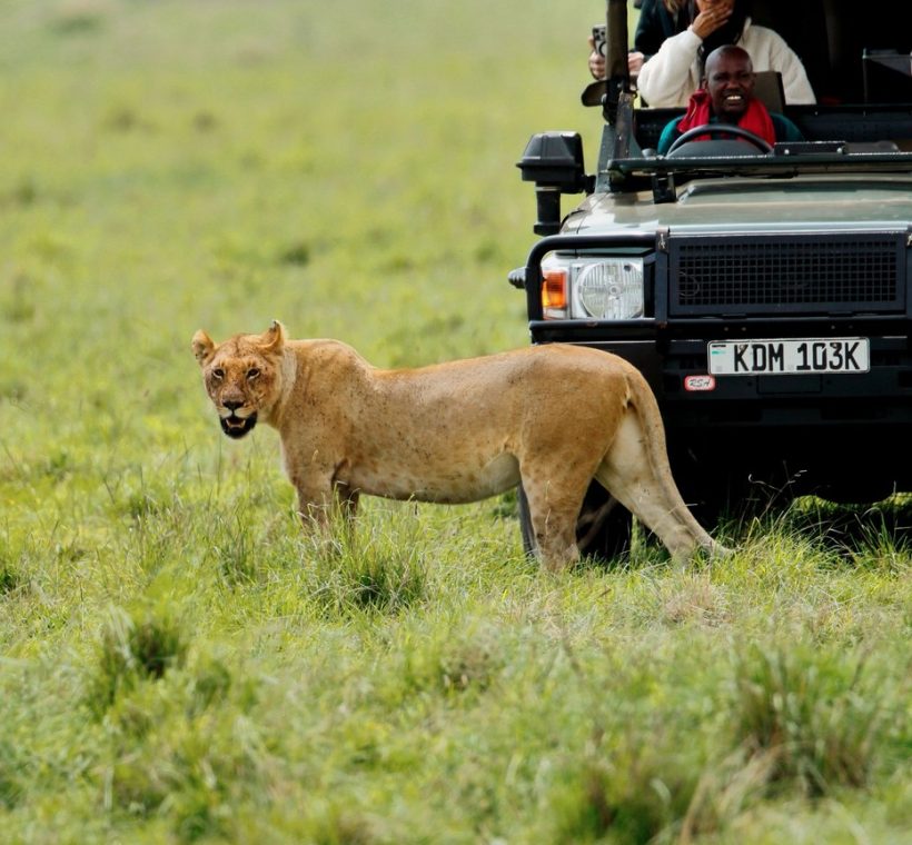 A comfortable mid-range safari tent with a private veranda overlooking the Maasai Mara plains