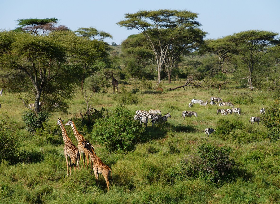 Kenya