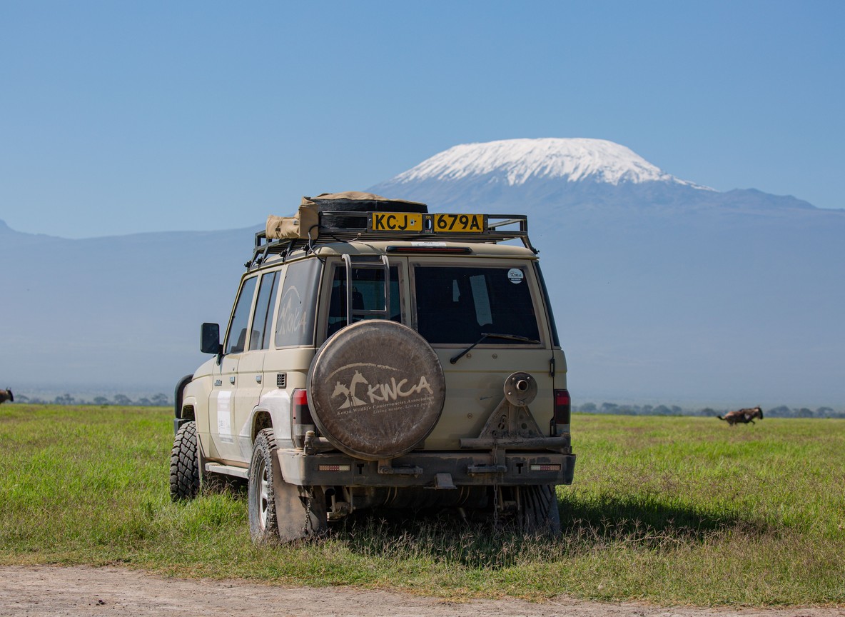 Elephant herd on the plains below the Chyulu Hills with Kilimanjaro behind