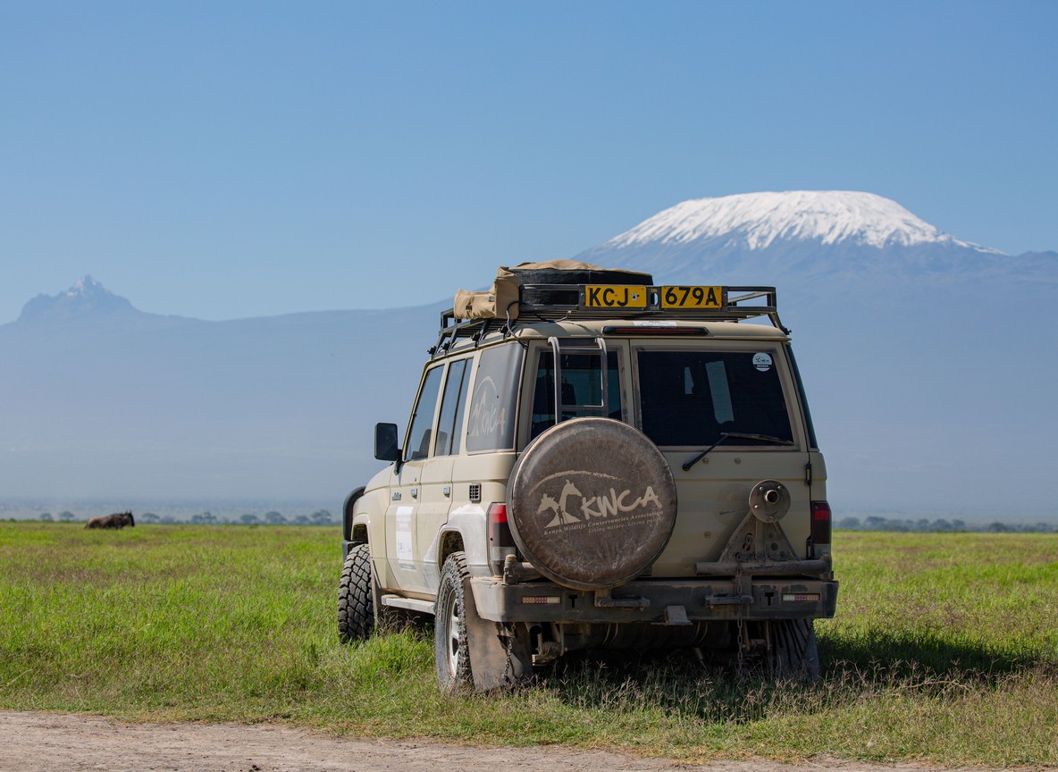 Bull elephant with Mount Kilimanjaro in the background near Campi ya Kanzi