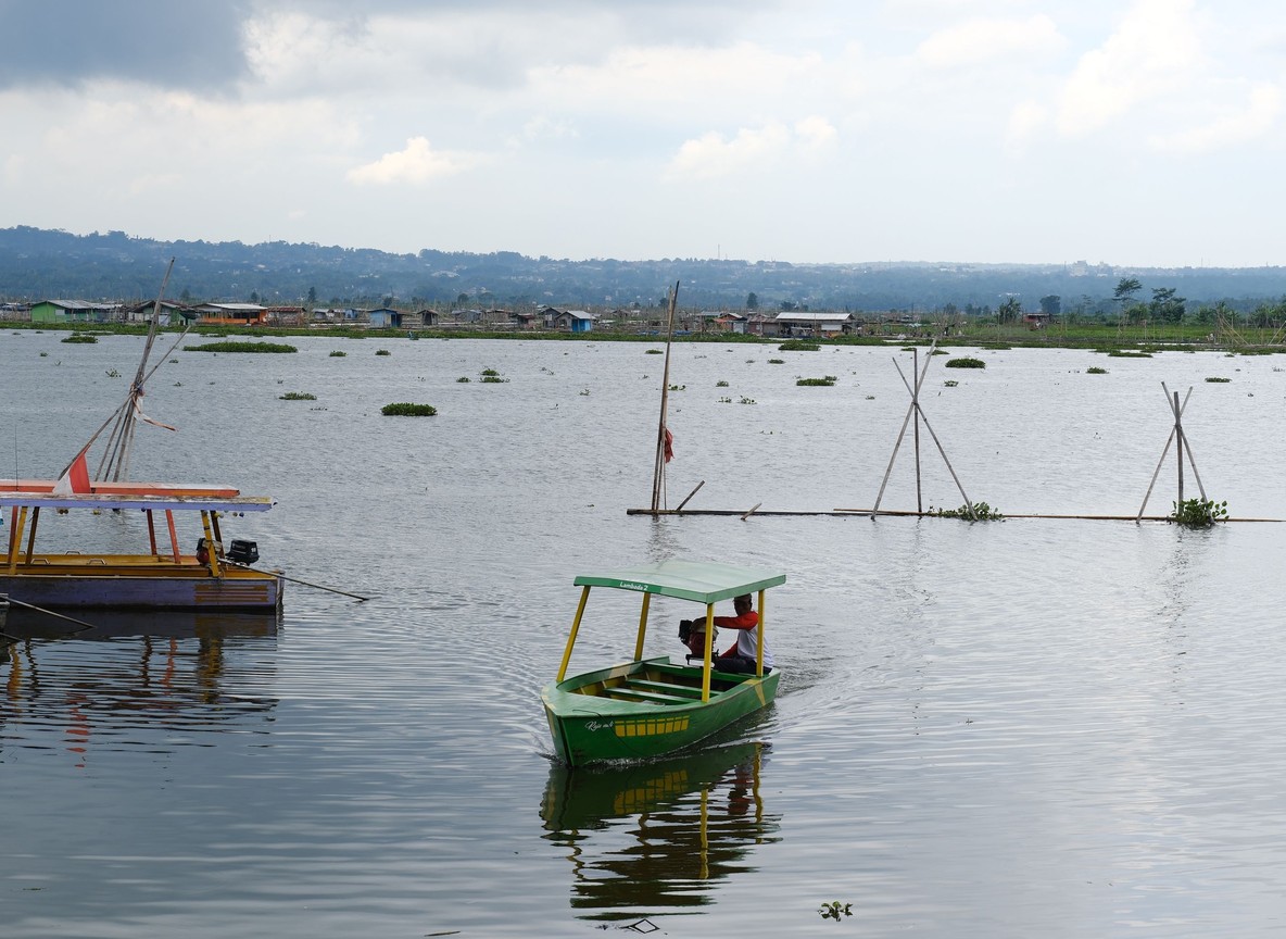 A boat safari gliding past papyrus reeds and birdlife on Lake Naivasha
